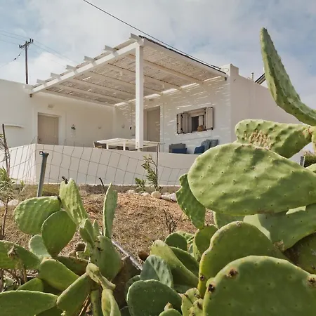 Blé - Traditional Renovated